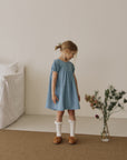 Berry denim dress