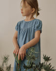 Berry denim dress