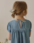 Berry denim dress