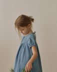 Berry denim dress