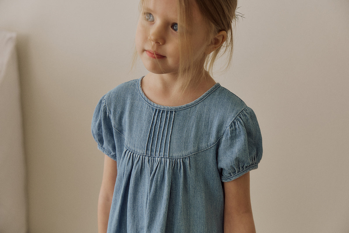 Berry denim dress